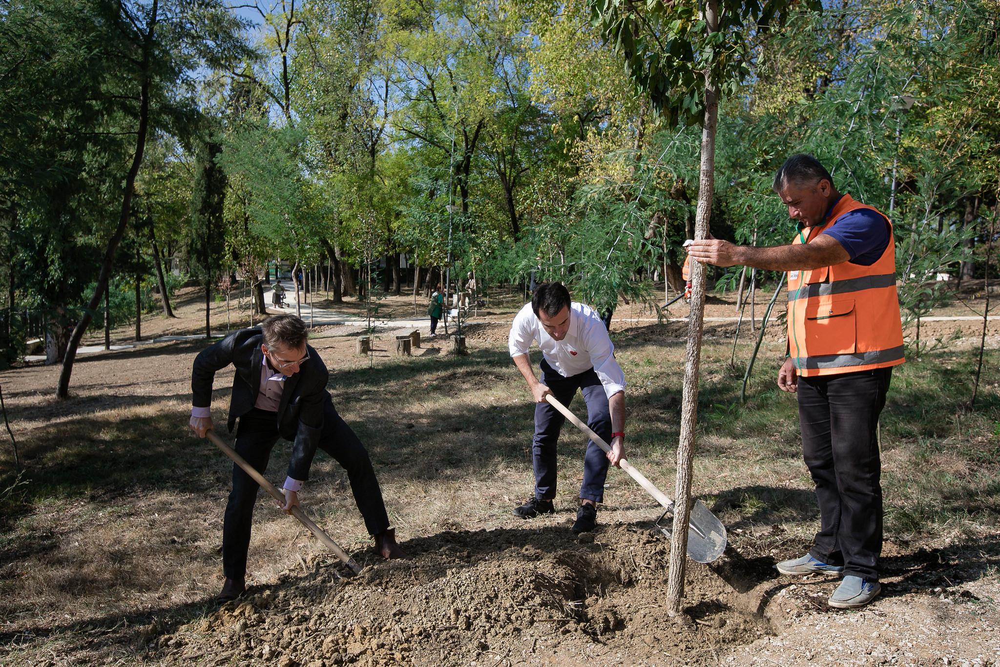 Veliaj Gjate Nisjes Se Aksionit Te Mbjelljes Se Pemeve (1)