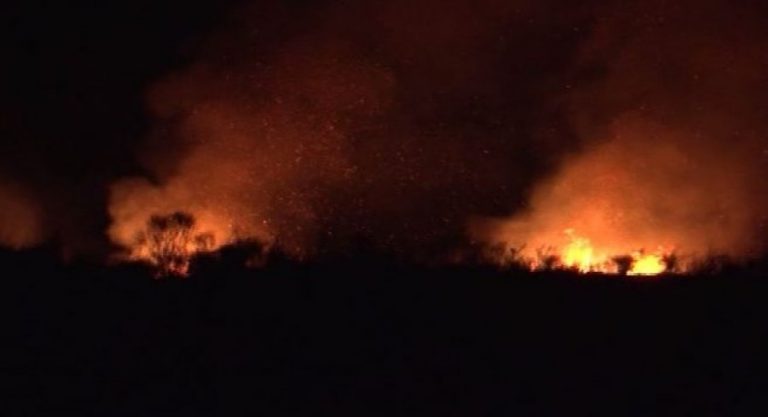 Auto Zjarri Ne Berdice 655x3561500835235 768x417