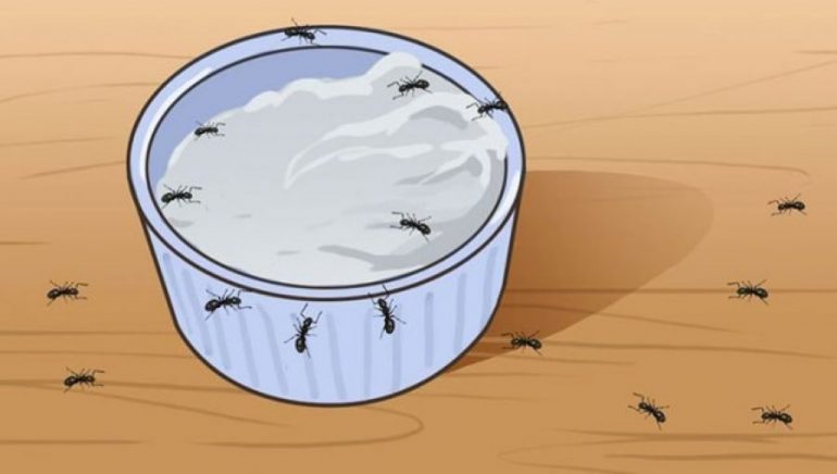 Auto Milingonat1537780141