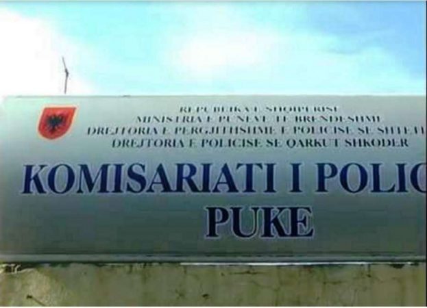 Auto Screenshot 11504956454 (1)