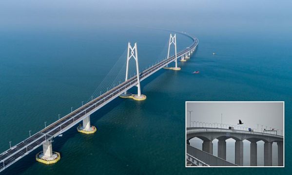 5273784 0 Image A 8 1540196881156 599x360