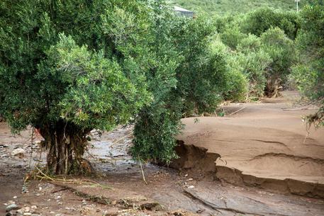 Family Of 3 Swep Away In Southern Italy Flood