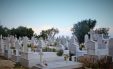 Greek Cemetery In Chios