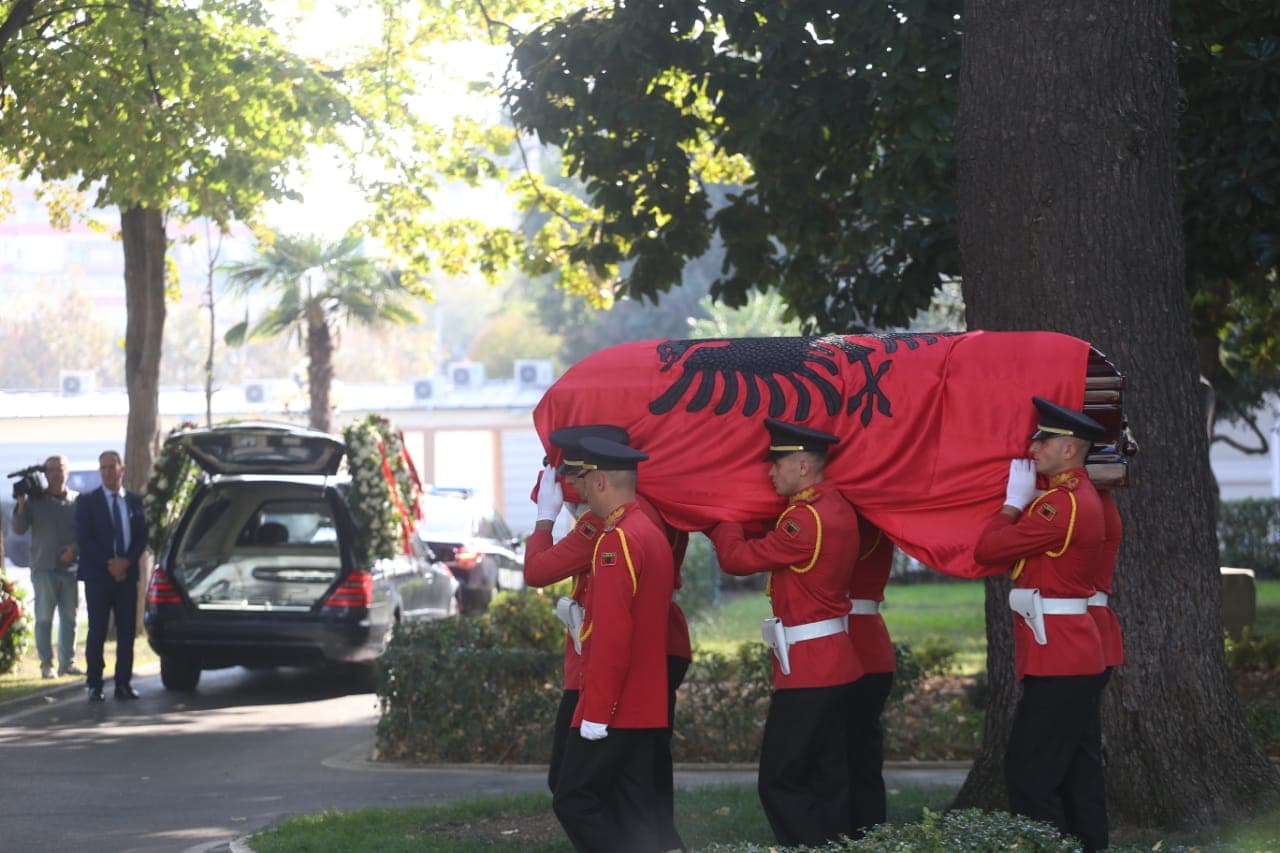 46115173 263088607888224 3470630864214294528 N