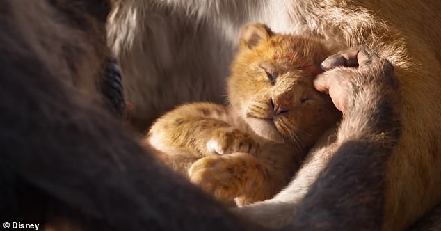 6535526 6419837 Image A 5 1542927479220