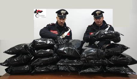 Droga: Cc Sequestrano Quasi 20 Kg Marijuana, 2 Arresti