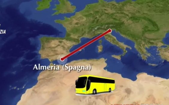 Auto Auto Screenshot 115427018531542789447