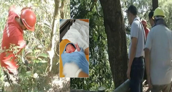 Home Ora Public Html Storage App Media 2018 11 01 Bebe 6abcf02c30bafa1e387cbb1563048afe