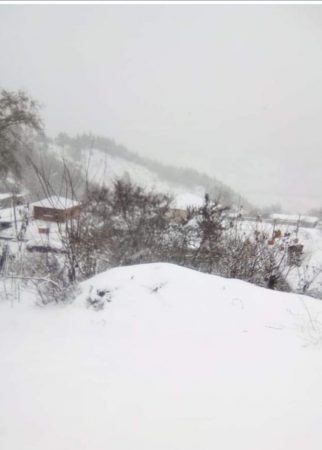 1f00e690 F385 4859 8518 Bdaf7f115213