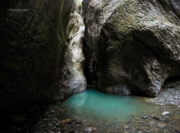 50954248 1339110976230493 4607823416899141632 N