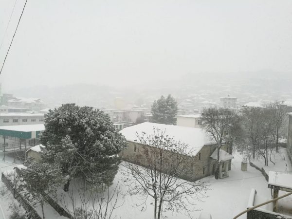 552be962 Bc87 44f8 8344 29b601de474b