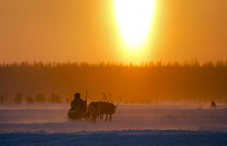 Russia Reindeer Herders Day