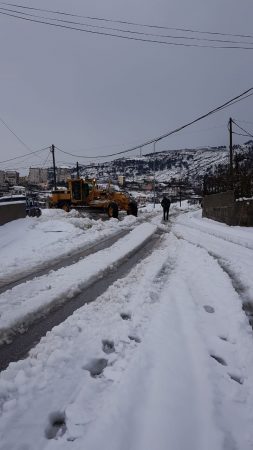 9bd289a9 40ba 41a4 Aec1 73c53ae9e765