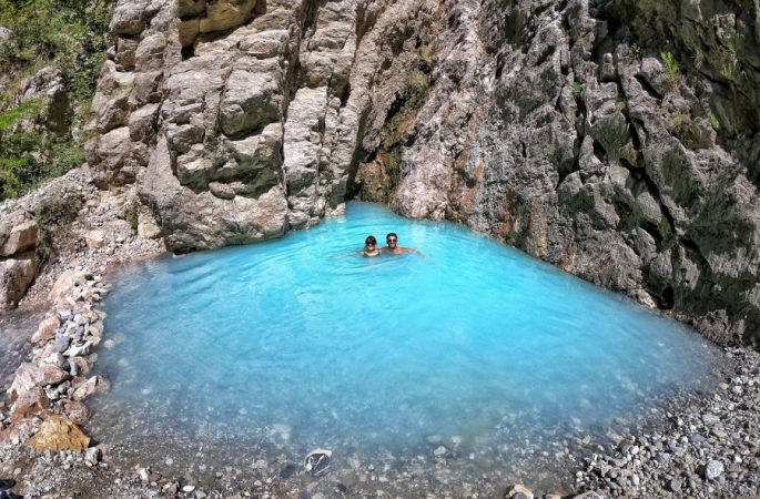 Auto Nentor11533219102