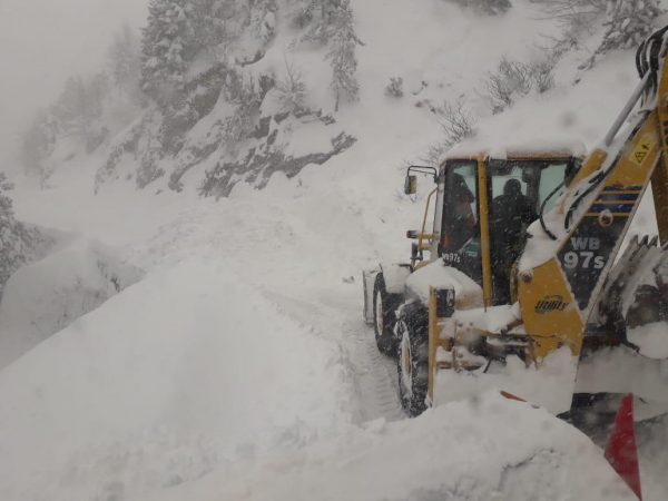 C7a7c153 9d3d 43ef 810f D7567daefadb