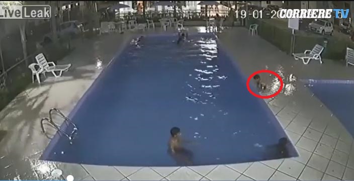 Djali Perfundon Ne Pishine