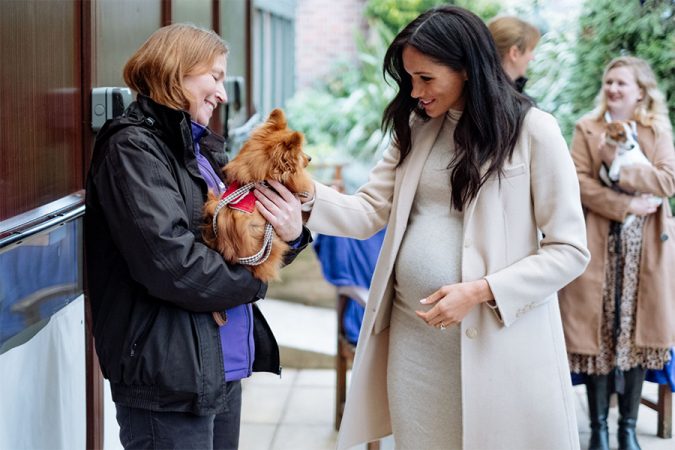 Meghan Markle Stroking Puppy A