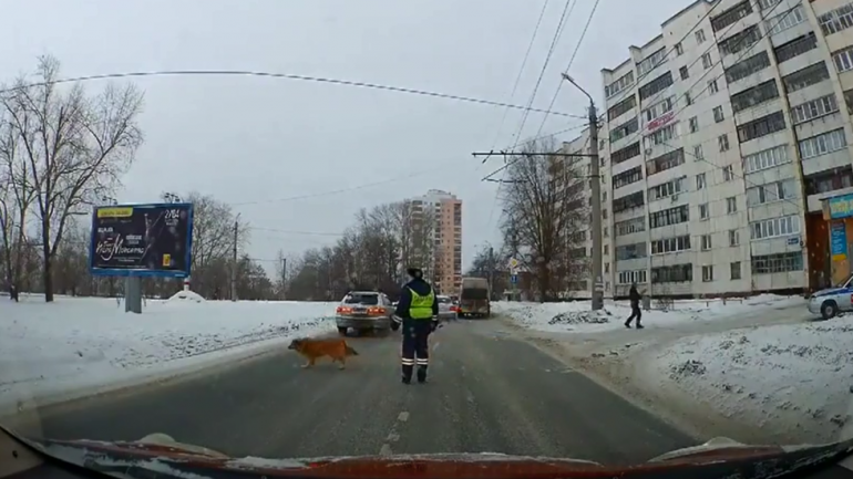 5c6d0f1ddda4c82b668b45de