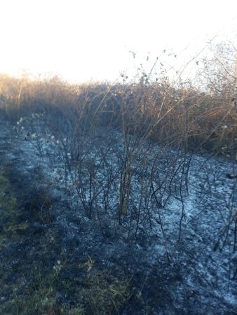 Whatsapp Image 2019 02 23 At 17.24.59