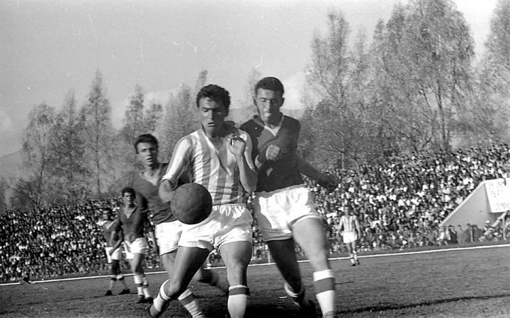 55776378 2191440187568909 3549831465606840320 N