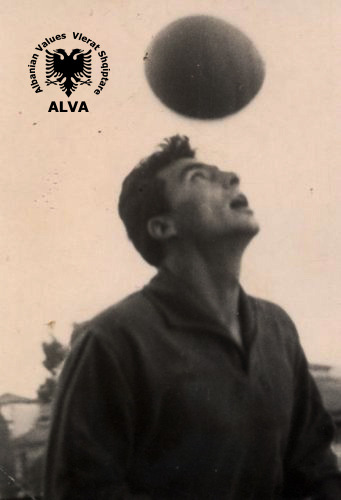 foto galeri 
