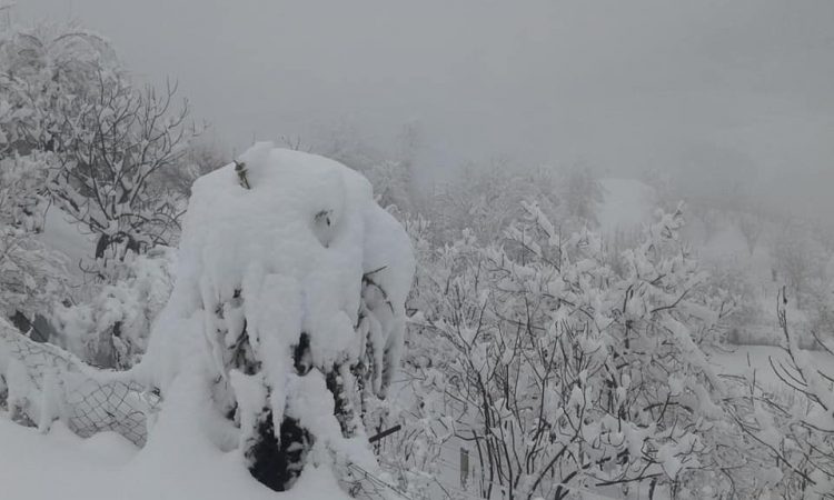 Ky Eshte Dimer Ne Diber Bulqize E Mat 3