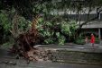 Three Dead And Two Missing After Strong Storm In Rio De Janeiro