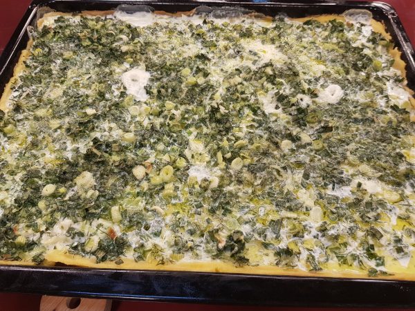 Pispili Me Qepe Te Njoma