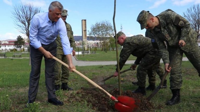 58460869 2617330241670652 418590519145267200 O 780x439