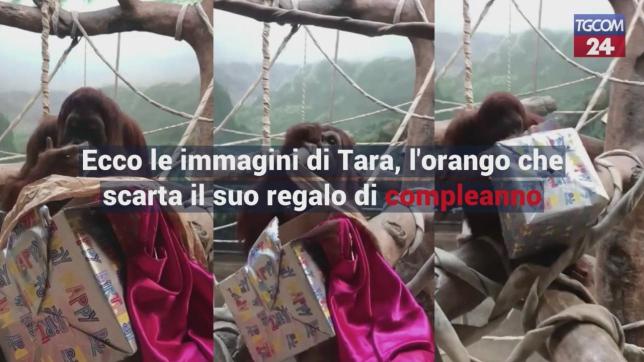 C 2 Box 89071 Upifoto1f