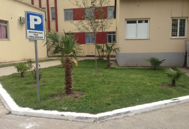 Webp.net Compress Image 1