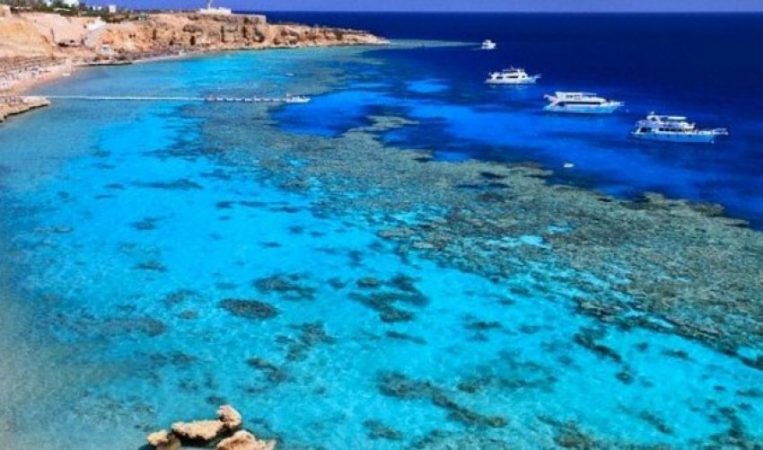 Auto Dwdw 92571554218462