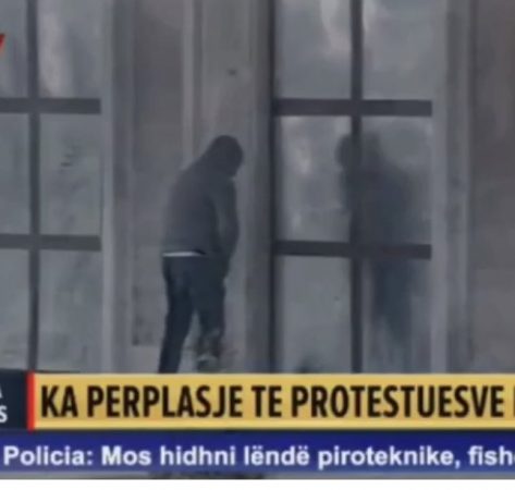 Protestuesi