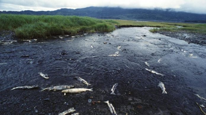 26f1f2858b4268c973eb2e64662882ae 696x387