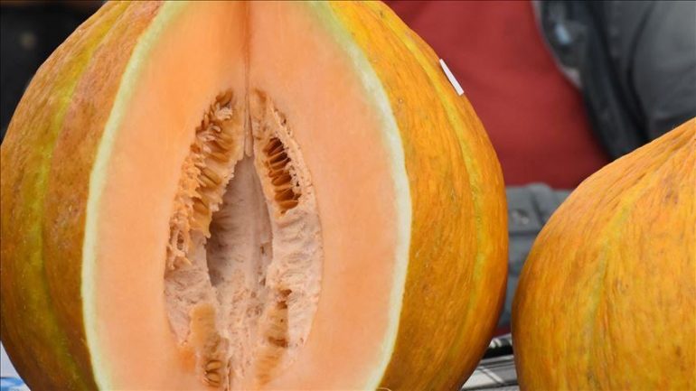 Thumbs B C 4dbbe3b3eecabb253be25d878fba8421