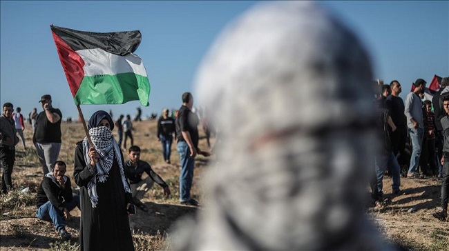 Thumbs B C 4f00ad9c1d6fbc78fb9b669404e8914f