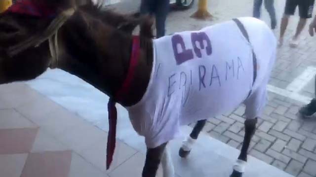 Gomari Shkon Per Te Votuar