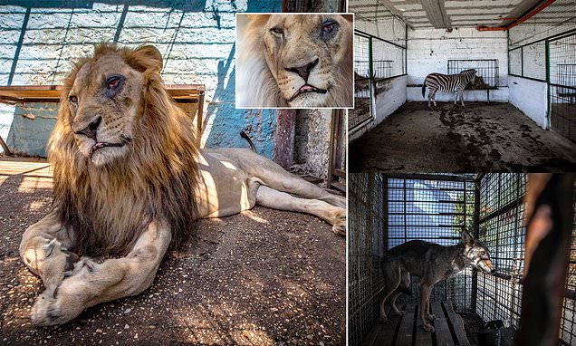 5085050 0 Image A 48 1539680248141