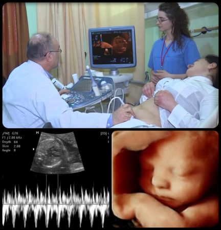 Whatsapp Image 2019 07 31 At 13.58.42 (1)