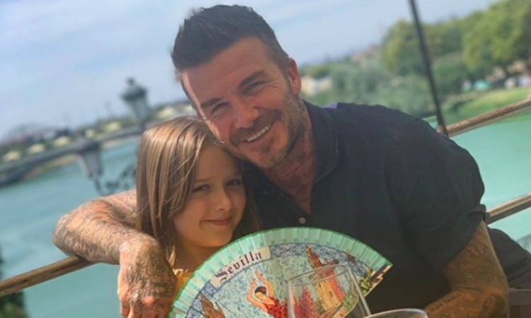 David Beckham Present Harper T