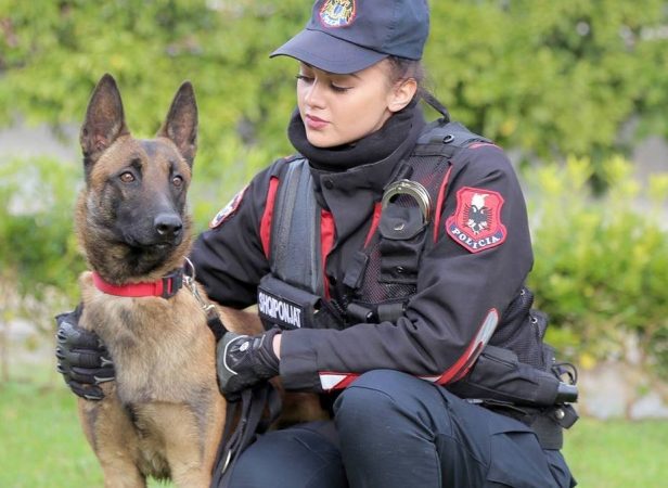 12509060 10208632987122494 8213158179867509419 N