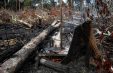 File Photo: A Tract Of Amazon Jungle Burns As It Is Being Cleared By Loggers And Farmers In Novo Airao