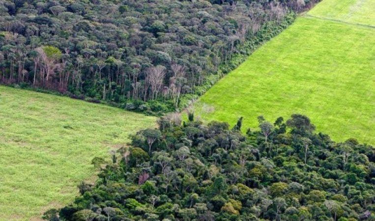 Auto Unnamed 31565554094