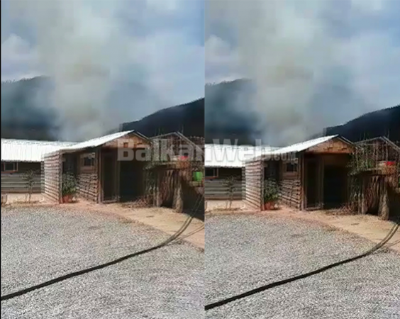 Dajt Digjet Magazina