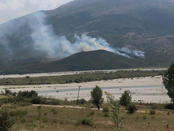 E0090368 1071 4a4e B09a 9318ea95a5e8