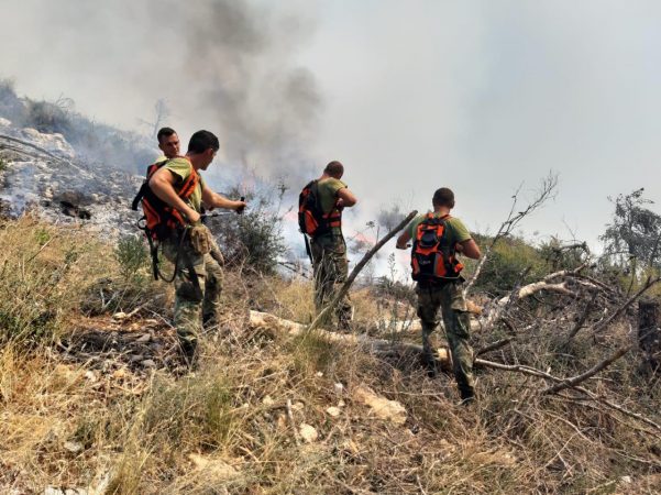 E0acccd2 Caa6 47e8 8e7e 3bf716cf9e0a