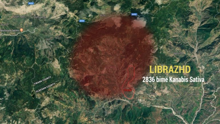 Eksluzive Rikthehet Kultivimi I Kanabisit.mpg Snapshot 01.03