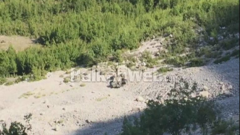 Aksiden T Ne Fushe Kruje