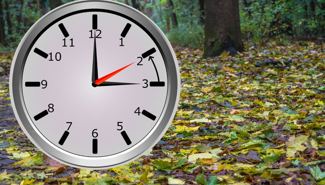 131824869 34fc6b7e Bbc5 4385 B24f A8c79f8cef09 (1)