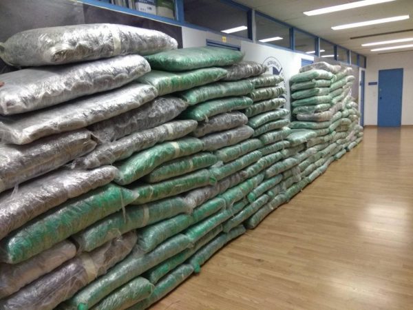 8151096d 0473 43b0 Abca E7a52738afdf